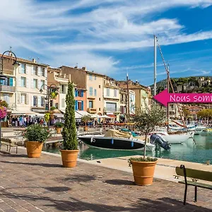 Le Cassiden Cassis